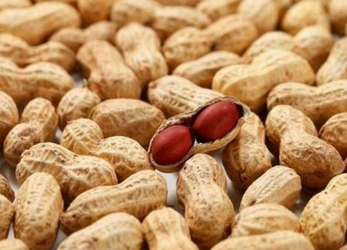 高产花生十大排名