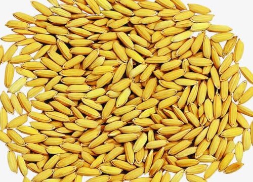 收购稻谷水分与价格之间的关系