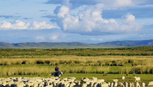 鄂尔多斯海拔高度是多少米