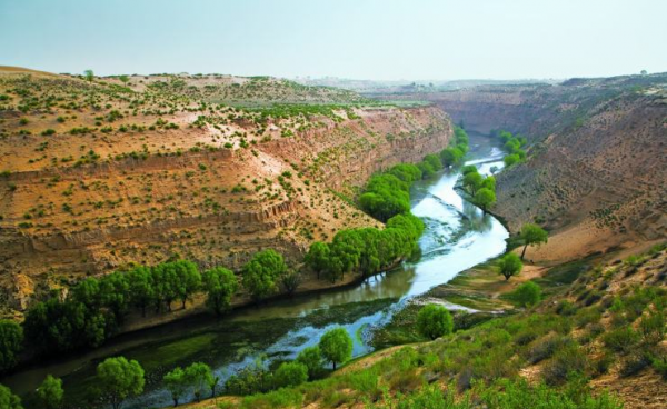 鄂尔多斯海拔高度是多少米