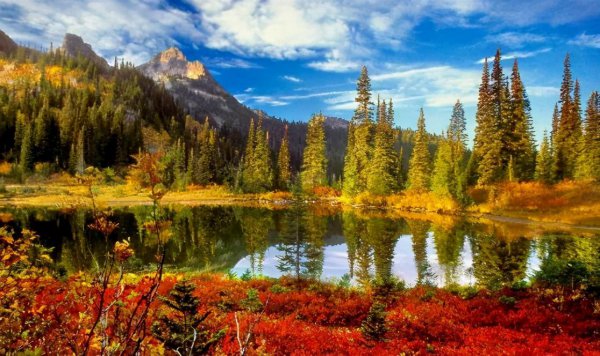 水瓶女喜欢你最明显的表现