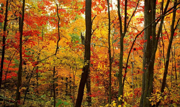 水瓶女喜欢你最明显的表现