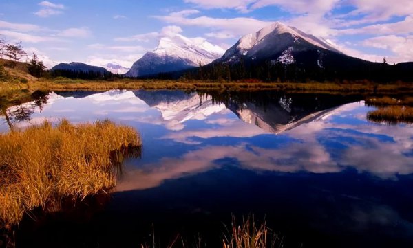 水瓶女喜欢你最明显的表现