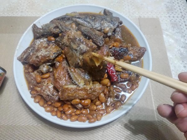 带鱼可以人工养殖吗