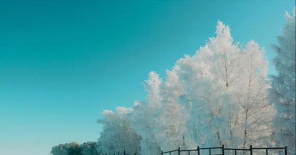 一生愿意伺候老婆的星座男