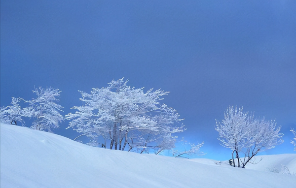 一生愿意伺候老婆的星座男