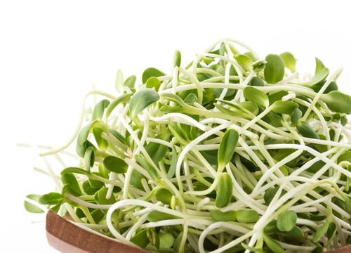 绿豆芽的最佳保存方法