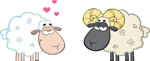 不懂爱情的星座女