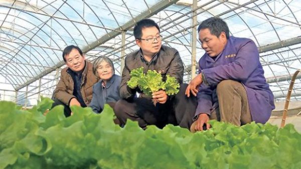 蔬菜上的腻虫怎么处理去除