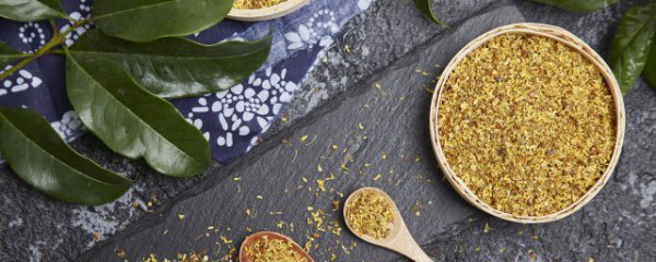 摘下来的桂花如何储存保鲜