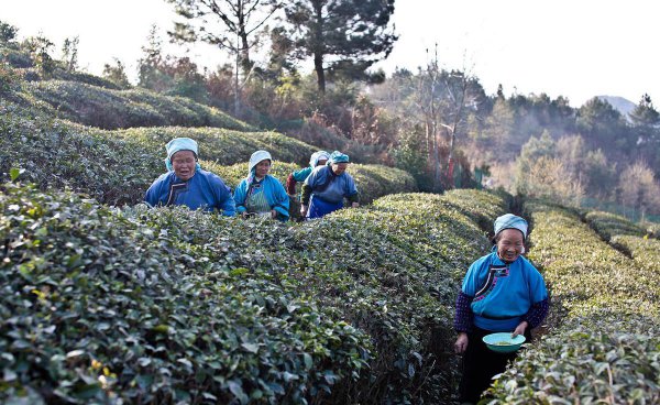 黔南布依族苗族自治州有几个县