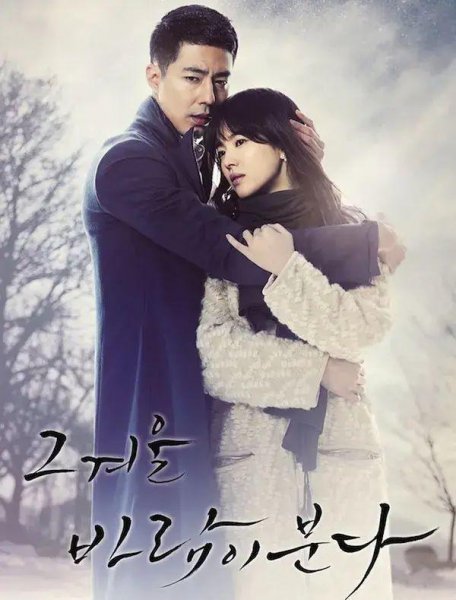 宋慧乔主演的电视剧有哪些