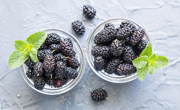 桑子泡酒怎样泡好