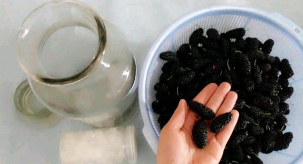 桑子泡酒怎样泡好