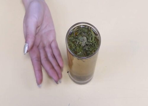 安徽石斛哪里产的最好