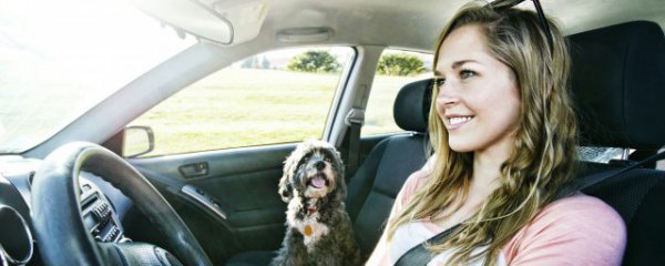 冬天汽车正确点火方法