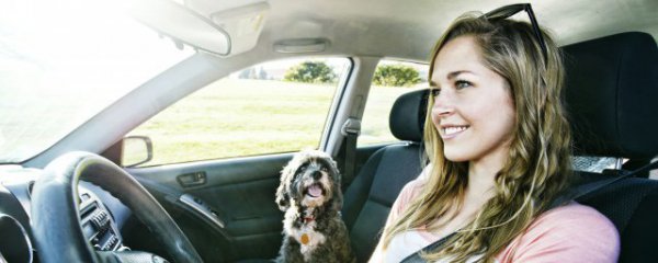 驾驶员离开汽车时应注意