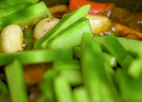 仙人掌适合家里养吗