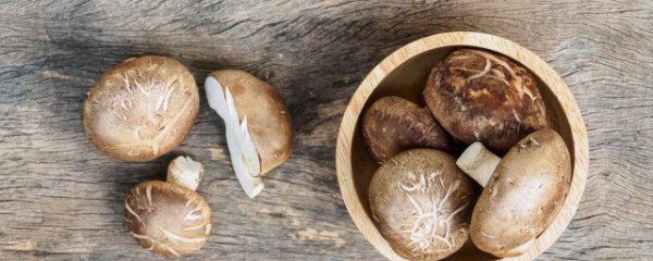 家庭种植香菇的方法