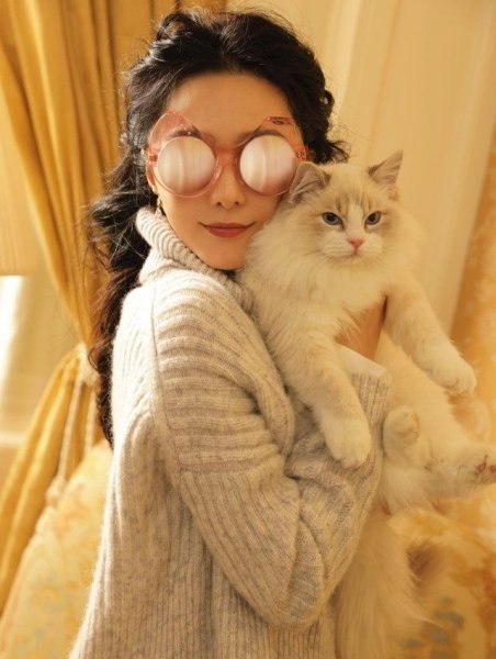 布偶猫是哪个国家的品种