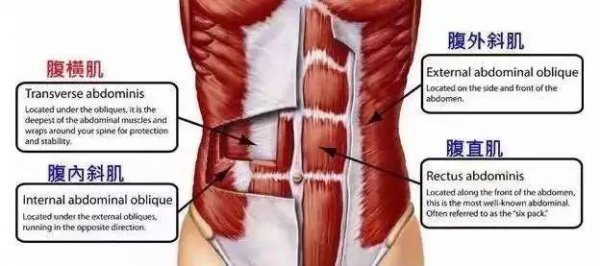 初学者卷腹正确姿势图解
