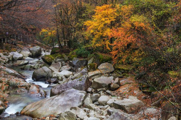 巴中属于哪个省的城市