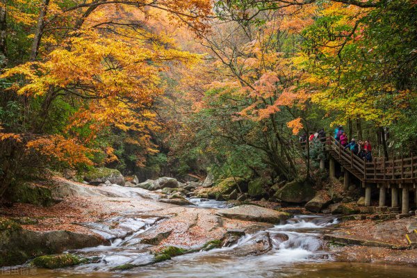 巴中属于哪个省的城市