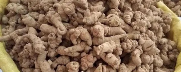 三七生吃和熟吃的区别