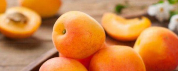 杏仁泡几天能发芽