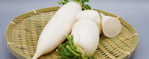 萝卜吃的是什么部位