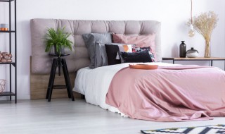 卧室放什么盆景吉利 卧室放什么植物吉利