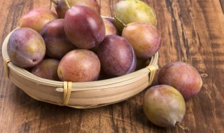 梅子什么地方适合种植 什么地方种植梅子好