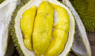 榴莲能不能和鱼一起吃 榴莲和鱼可以一起食用吗