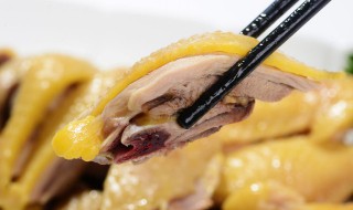 炖小鸡最简单方法 炖小鸡的做法