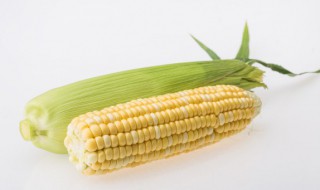 煮甜玉米怎么煮好吃 煮甜玉米做法分享