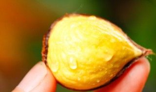 吃生板栗的好处 吃生板栗的功效与作用