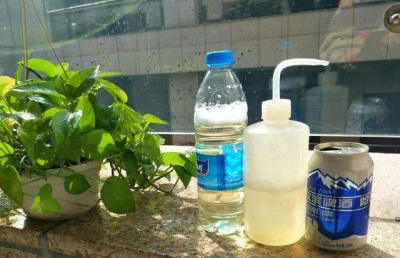 什么花喜欢啤酒浇花 3种花喜欢用啤酒浇灌