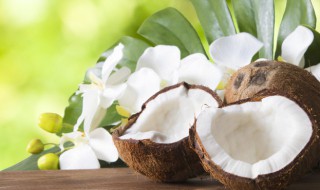 怎么可能长期保存椰肉干 椰子肉怎么风干保存时间长