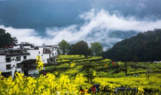 婺源几月份去最好 婺源哪个时间去最好玩
