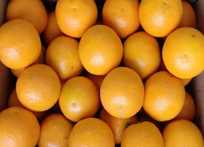 进新房送什么水果 新房子送什么水果