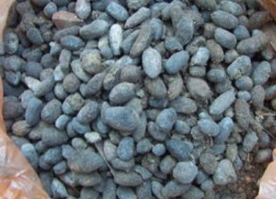 羊粪能不能种花 羊粪如何养绣球花爆满花