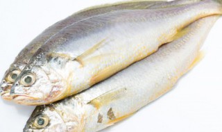 切块的鱼怎么判断是新鲜的 切块的鱼应该怎么判断是新鲜的