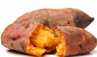 地瓜煮多久能吃 地瓜煮几分钟就能吃了