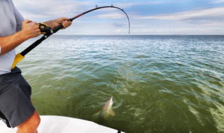 新手如何选择钓鱼 新手怎么选择钓鱼