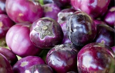 茄子常温保存还是放冰箱冷藏好 保存时间长还新鲜的技巧