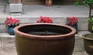 庭院水缸摆放讲究什么 庭院水缸摆放有什么讲究