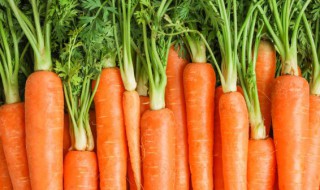 过夜的胡萝卜可以吃吗 胡萝卜可以隔夜吃了吗