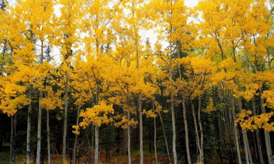水瓶女喜欢你最明显的表现 水瓶座爱上你的小细节