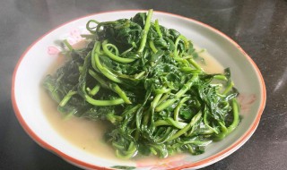 枸杞叶子怎么吃 如何吃枸杞叶子