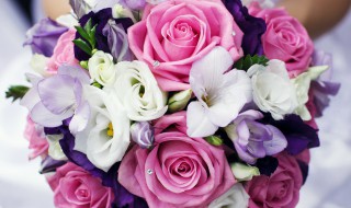 婆婆出院适合送什么花束 婆婆出院应该送什么花束比较好